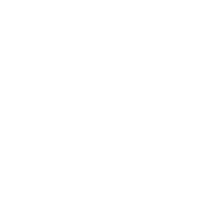 Belize Virtual Center